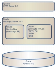 Oracle SOA Suite 10135 Oracle SOA Suite