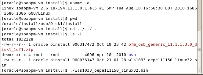 ./wls1033_oepe111150_linux32.bin
