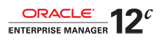 Oracle EM 12c